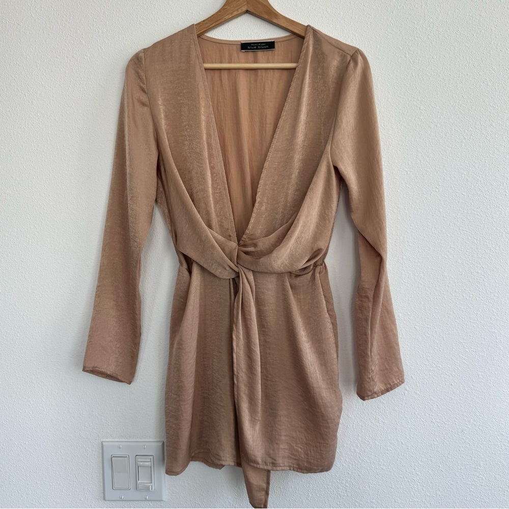 Blush Deep Vneck Dress